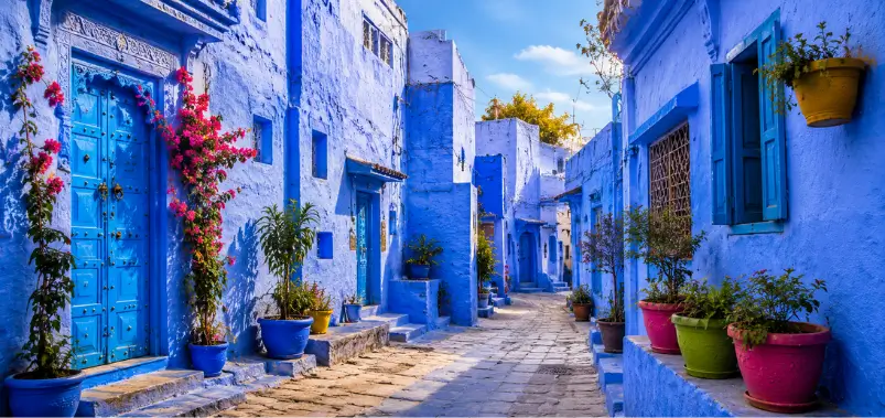 The Blue City Jodhpur